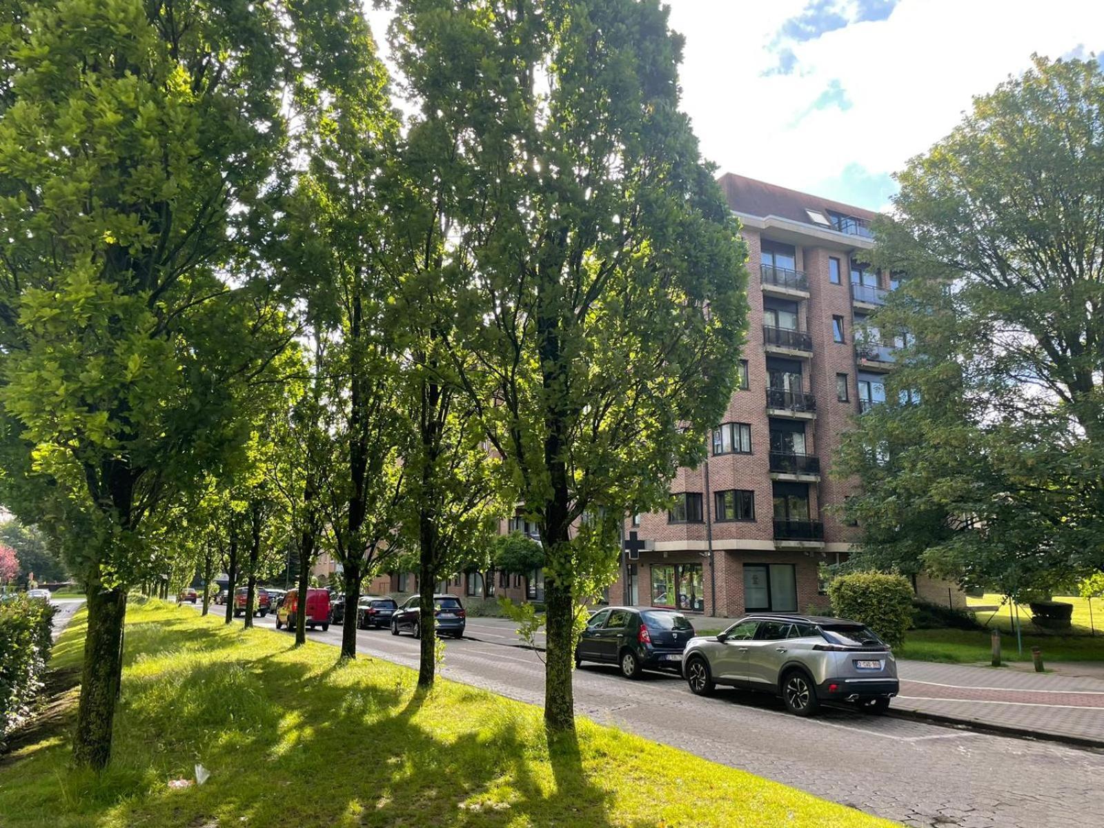 One Bedroom Fully Equipped Apartment With Terrace Brussel Buitenkant foto